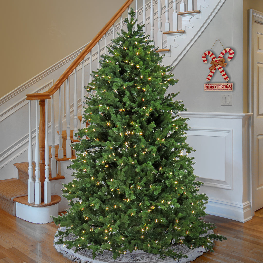 Artificial Rockport Christmas Tree, Pre-Lit with PowerConnect Warm White LED Lights, Plug In, 6.5 ft