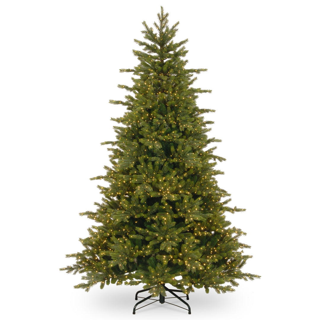 7.5 ft. Rocky Mountain Spruce Tree with  Infinity Lights(R)
