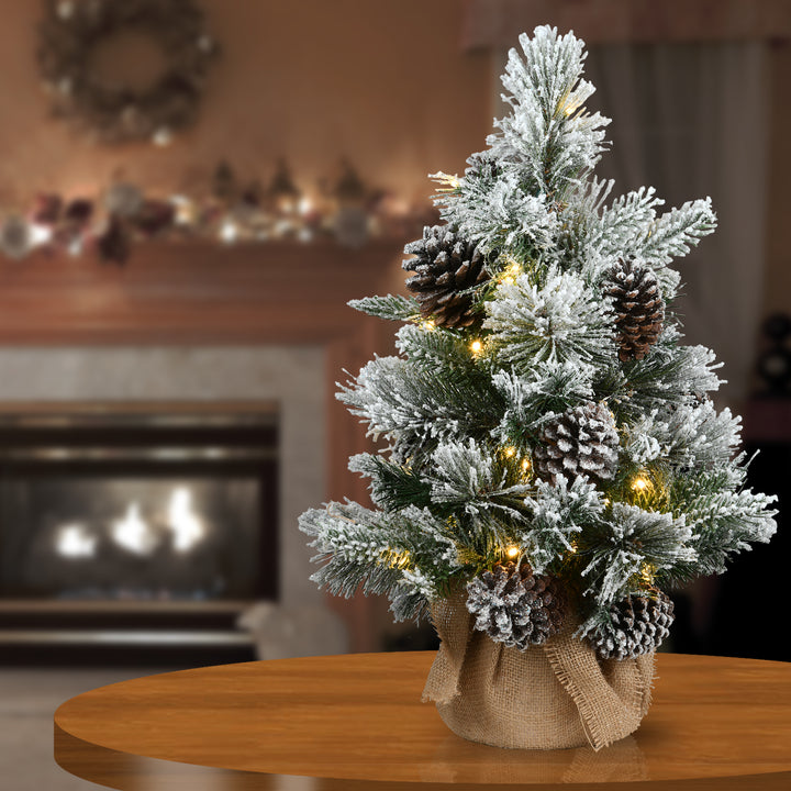 2 ft Snowy Redmond Pine with Battery Operated LED Lights