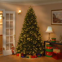 7.5 ft. Pre-Lit Scandinavian Fir Tree with Clear Lights - National Tree Company