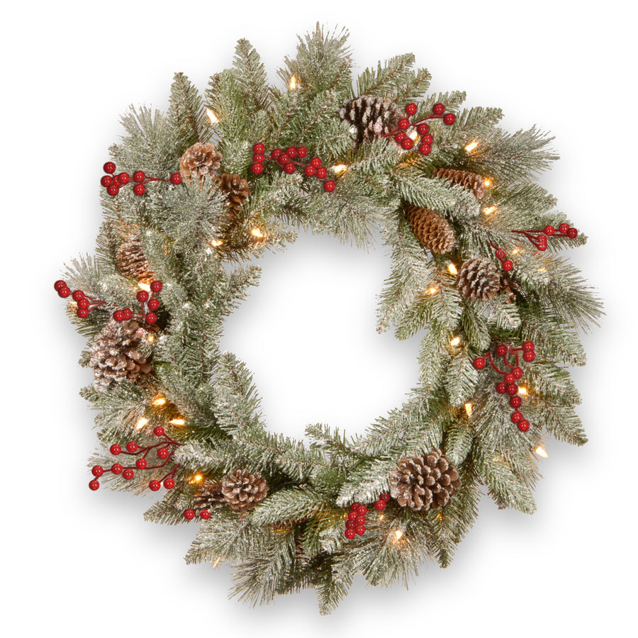 24 in. Pre-Lit Snowy Bristle Berry Wreath with LED Lights - National Tree Company