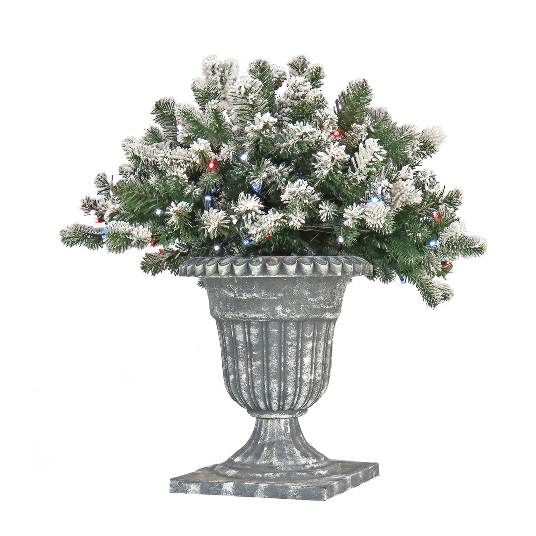 24" Snowy Sheffield Spruce Porch Bush with Twinkly™ LED Lights