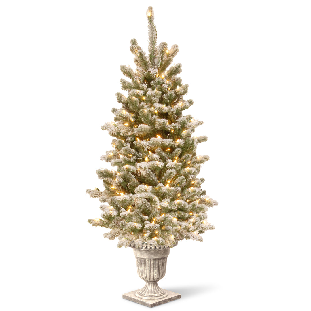 Pre-Lit Artificial Christmas Entrance Tree, Snowy Sheffield Spruce with Twinkly LED Lights, Plug in, 4 ft
