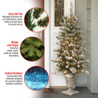 4 ft. Pre-Lit Snowy Sheffield Spruce Tree with Twinkly LED Lights, Plug-In - National Tree Company