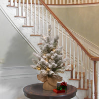 2 ft. Pre-Lit Snowy Sheffield Spruce Tree with White LED Lights - National Tree Company