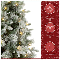 6 ft. Pre-Lit Snowy Stamford Flocked Artificial Christmas Tree with Warm White LED Lights - National Tree Company
