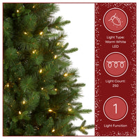 6 ft. Pre-Lit Stamford Artificial Pine Christmas Tree with Warm white LED Lights - National Tree Company
