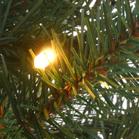 4 ft. Pre-Lit Scotch Creek Fir Tree with LED Lights, Plug-In - National Tree Company