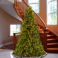 9 ft. Pre-Lit Tiffany Fir Tree with Clear Lights - National Tree Company