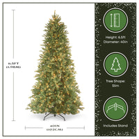 6.5 ft. Pre-Lit Tiffany Fir Slim Tree with Clear Lights PE Branch Tips, Plug-In - National Tree Company