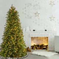 7.5 ft. Pre-Lit Tiffany Fir Slim Tree with Clear Lights - National Tree Company