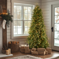 7.5 ft. Pre-Lit Tiffany Fir Slim Tree with Clear Lights - National Tree Company