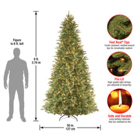 9 ft. Pre-Lit Tiffany Fir Slim Tree with Clear Lights - PE Branch Tips - National Tree Company