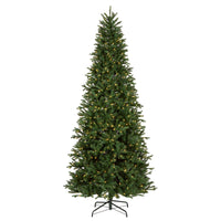 9 ft. Pre-Lit Winslow Fir Tree with Warm White LED Lights - National Tree Company