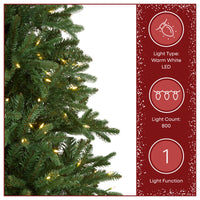 9 ft. Pre-Lit Winslow Fir Tree with Warm White LED Lights - National Tree Company