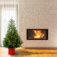 5 ft. Pre-Lit Topeka Spruce Tree with Clear Lights - National Tree Company