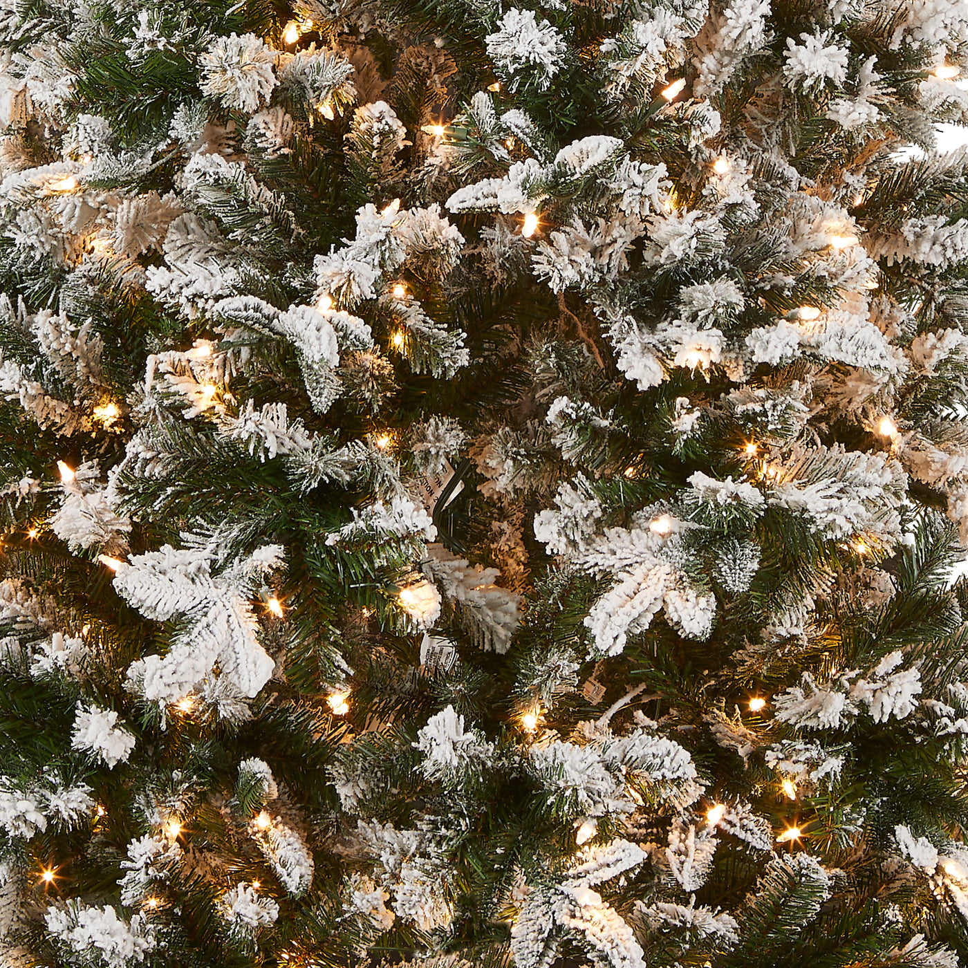 6.5 ft. Pre-Lit Snowy Everest Fir Medium Tree with Clear Lights - National Tree Company