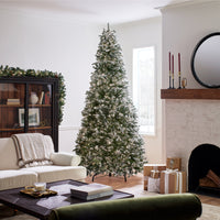 9 ft. Pre-Lit Snowy Everest Fir Medium Tree with Clear Lights - National Tree Company