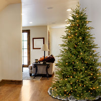 7.5 ft. Pre-Lit Victoria Fir Tree with Clear Lights - National Tree Company