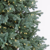 9ft. Pre-Lit Wellesley Fir Hinged Tree with PowerConnect Dual Color LED Lights - National Tree Company