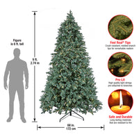 9ft. Pre-Lit Wellesley Fir Hinged Tree with PowerConnect Warm White LED Lights - National Tree Company