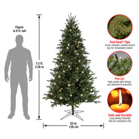 7.5 ft. Pre-Lit Aspen Pine Tree with LED Lights - National Tree Company