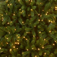 7.5 ft. Pre-Lit Deluxe Downswept Douglas Fir Tree with PowerConnect Dual Color LED Lights - National Tree Company