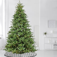 10ft. Pre-Lit Norway Spruce Hinged Tree with Warm White LED Lights - National Tree Company