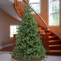 9 ft. Pre-Lit Norway Spruce Tree with Warm White LED Lights - National Tree Company