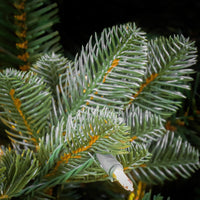 9 ft. Pre-Lit Norway Spruce Tree with Warm White LED Lights - National Tree Company