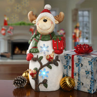 22 in. Reindeer Holding Gift with Multicolor Lights - National Tree Company