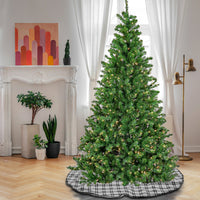 7.5 ft. Pre-Lit Phillip Spruce Tree with Clear Lights - National Tree Company