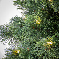 7.5 ft. Pre-Lit Pilchuck Pine Tree with LED Lights - National Tree Company