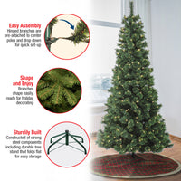 7.5 ft. Pre-Lit Pilchuck Pine Tree with LED Lights - National Tree Company