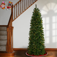 7.5 ft. Pre-Lit Pennington Fir Pencil Tree with Clear Lights - National Tree Company