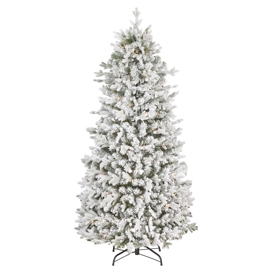 6 ft. Pre-Lit Pop-Up Frosted Everly Jinglepop Flocked Tree with Warm White LED Lights - National Tree Company