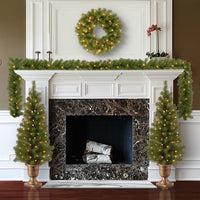 Pre-Lit Evergreen Assortment Set of 2 Entrance Trees, 1 Wreath, 1 Garland - National Tree Company