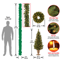 Pre-Lit Evergreen Assortment Set of 2 Entrance Trees, 1 Wreath, 1 Garland - National Tree Company