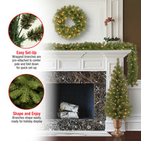 Pre-Lit Evergreen Assortment Set of 2 Entrance Trees, 1 Wreath, 1 Garland - National Tree Company