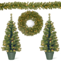 Evergreen Assortment with Battery Operated LED Lights - National Tree Company