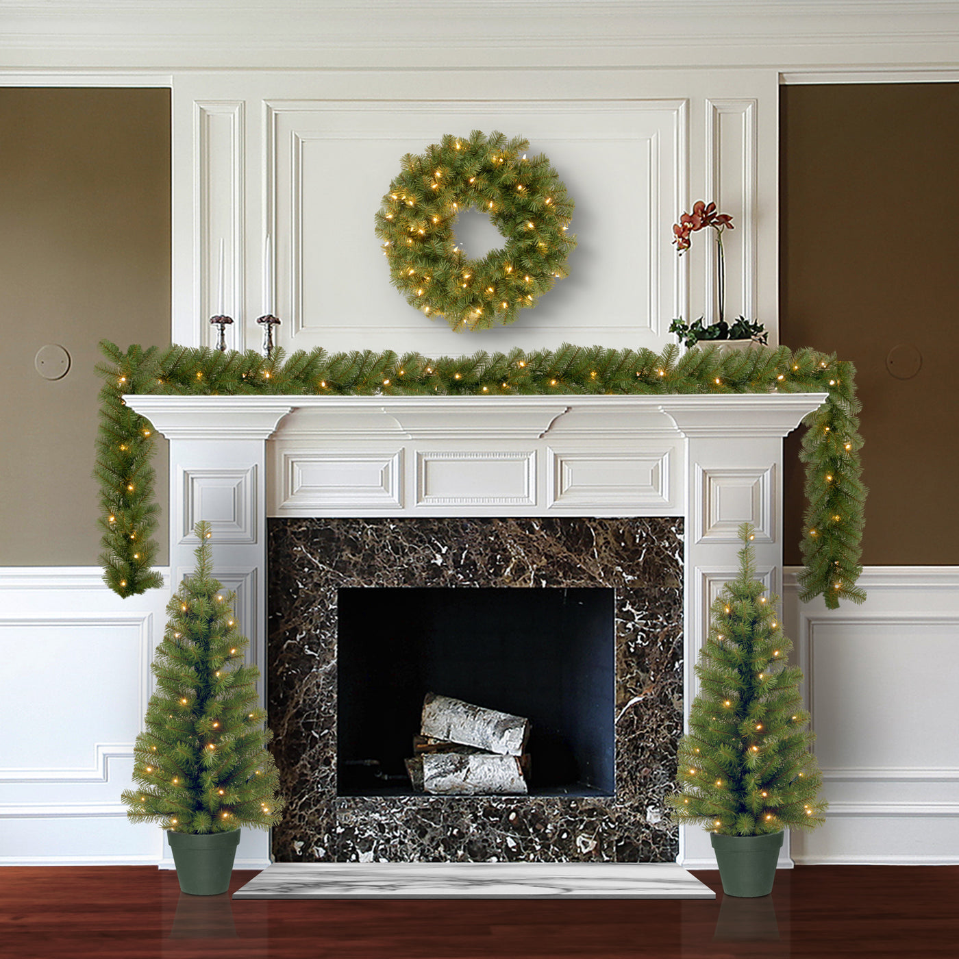 Evergreen Assortment with Battery Operated LED Lights - National Tree Company