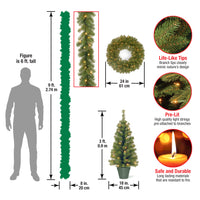 Evergreen Assortment with Battery Operated LED Lights - National Tree Company