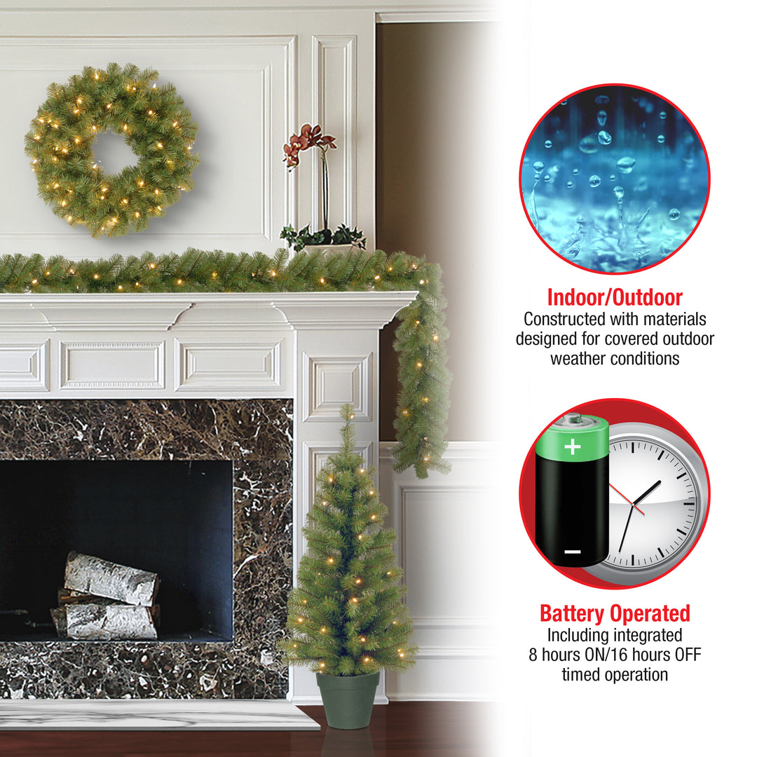 Evergreen Assortment with Battery Operated LED Lights