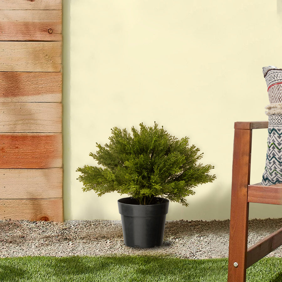 15 in. Globe Cedar Tree
