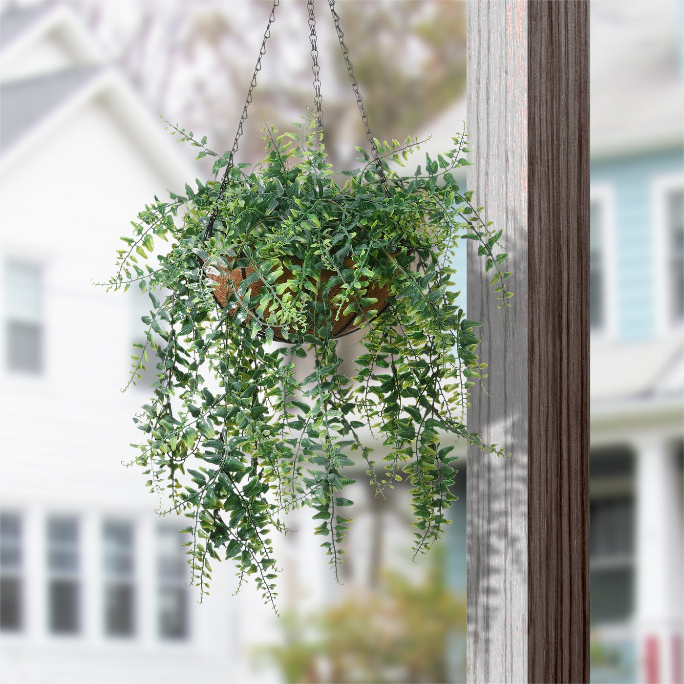 hanging planter for fern 21 in. Spring Hanging Basket with Fern Leaves · National Tree Company