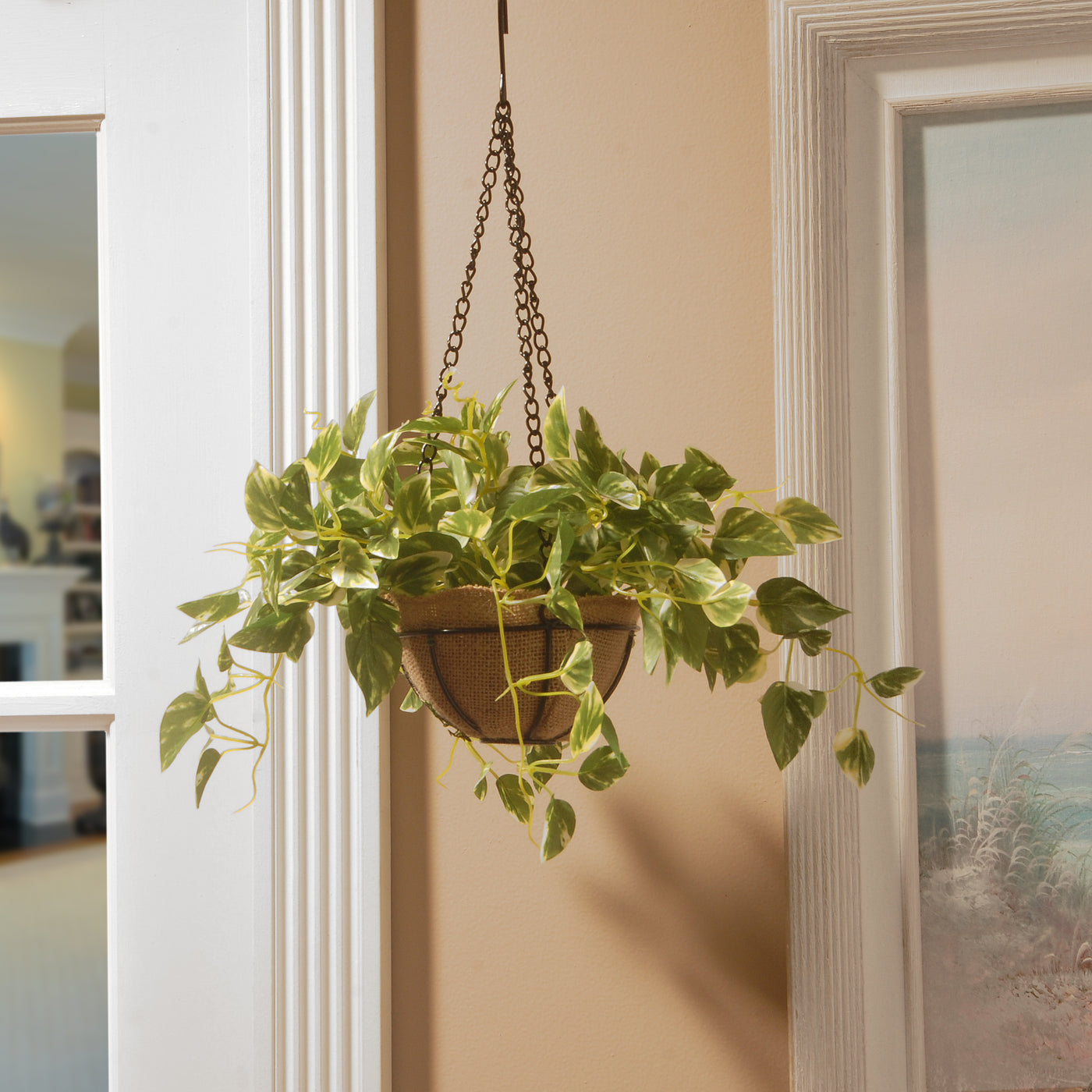 9 in. Spring Hanging Pothos Plant Pot Decoration with Leafy Greens - National Tree Company