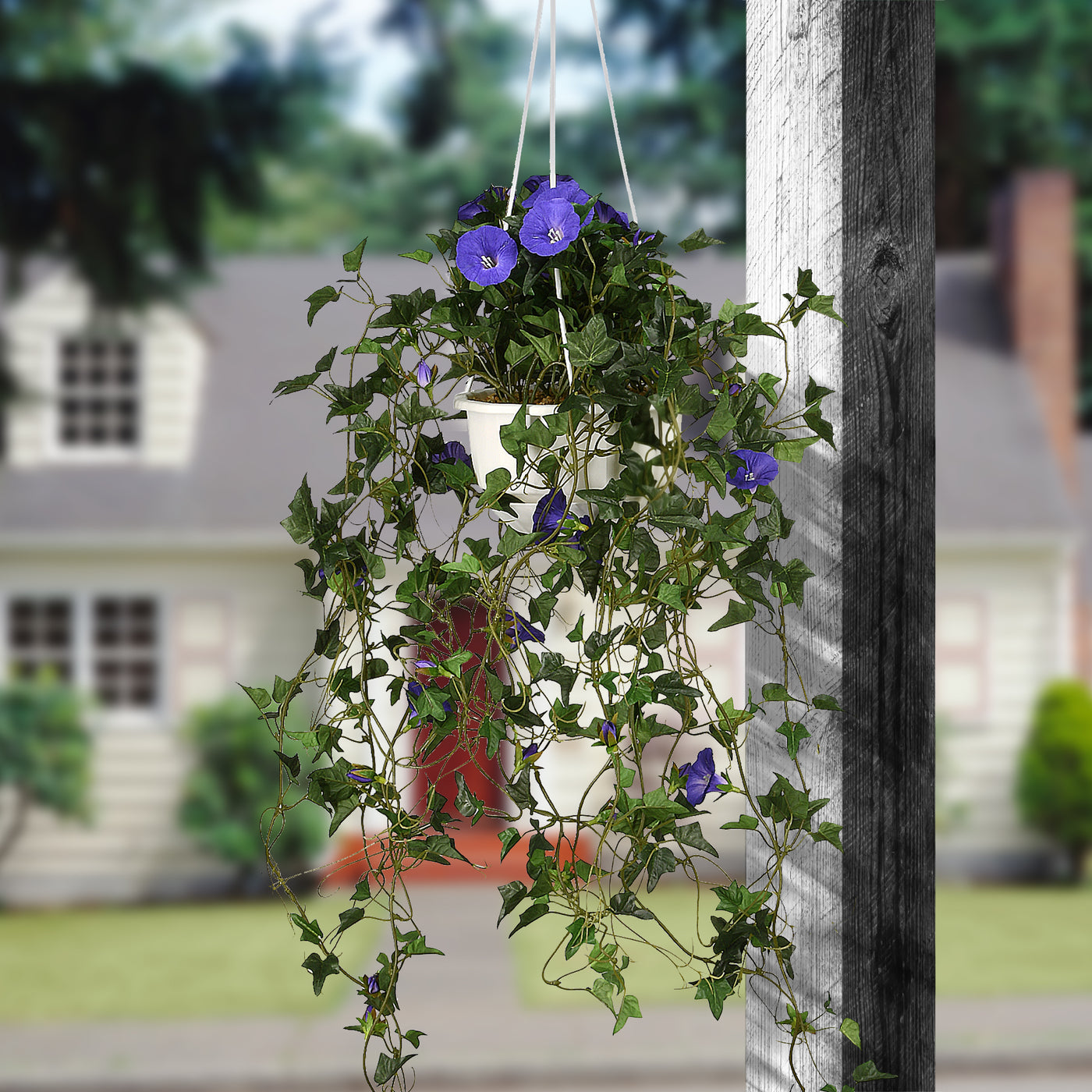 Artificial Hanging Basket, Morning Glory, Decorated with Blue Flower Blooms, Long Green Vines, Includes Plastic Pot Base and Hanging Loop, Spring Collection, 44 Inches - National Tree Company