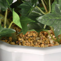 44 in. Spring Hanging Plant with Morning Glory Flowers on Leafy Vines - National Tree Company