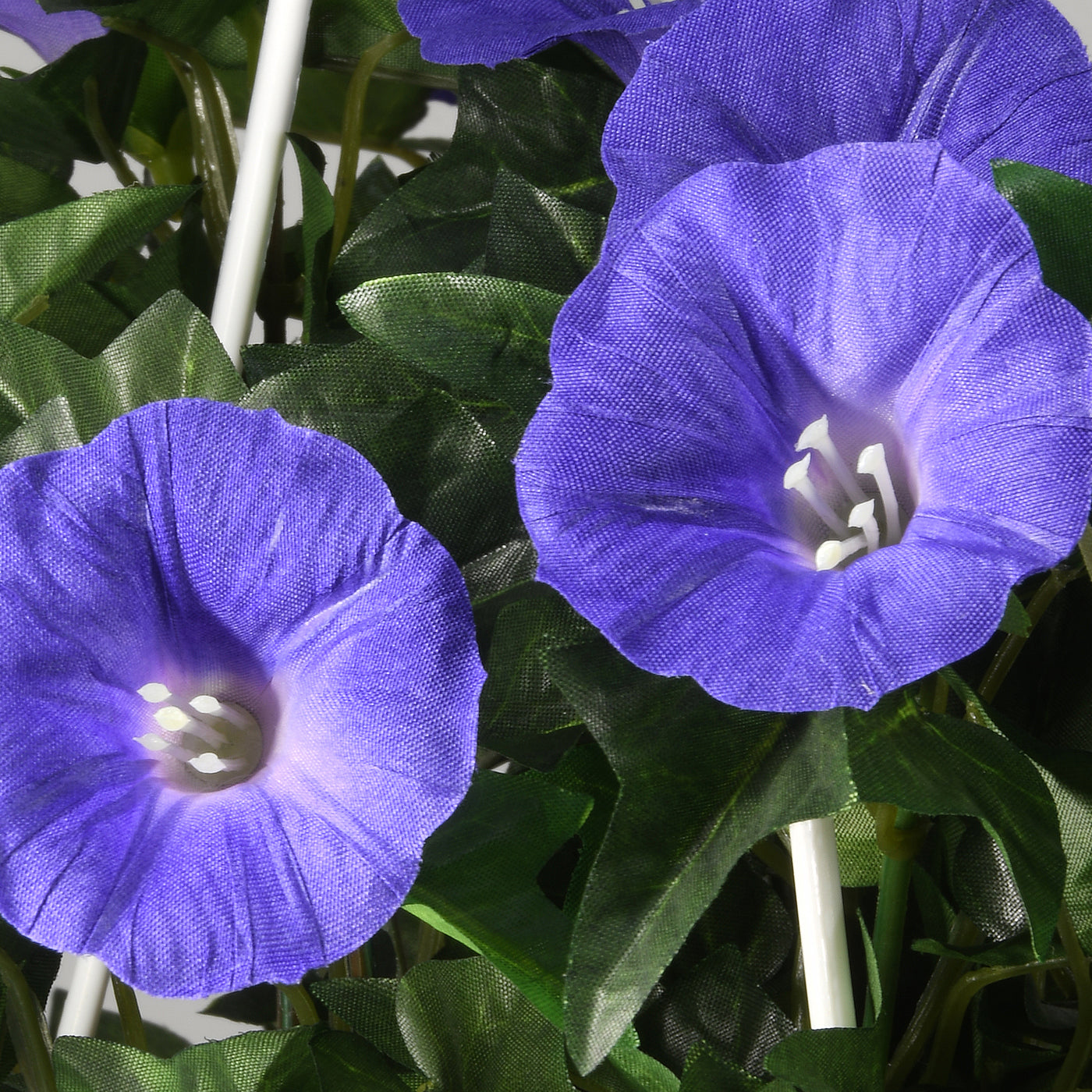44 in. Spring Hanging Plant with Morning Glory Flowers on Leafy Vines - National Tree Company