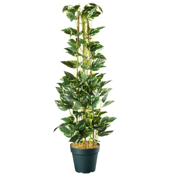 tall golden pothos 39 in. Pothos Plant · National Tree Company